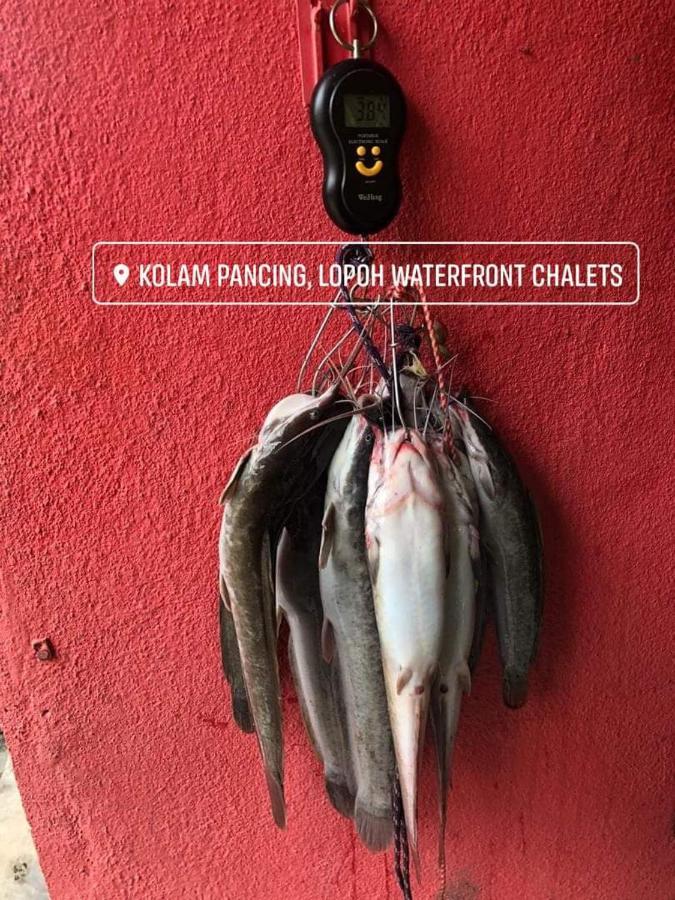 Lopoh Waterfront Budget Chalets Hulu Langat Exterior foto