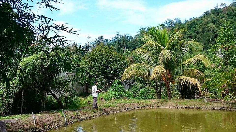 Lopoh Waterfront Budget Chalets Hulu Langat Exterior foto